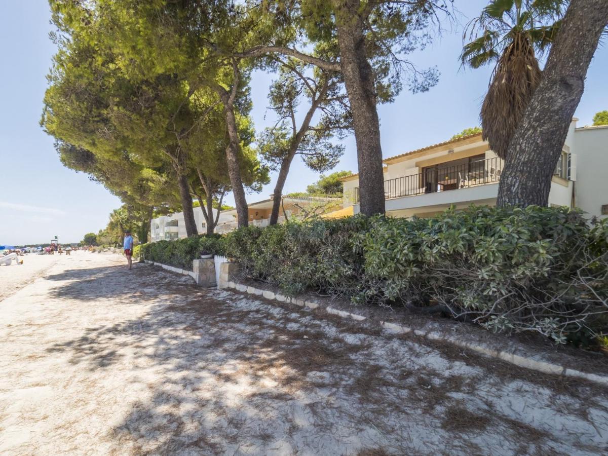 M4r 8 Can Torres, Apartment